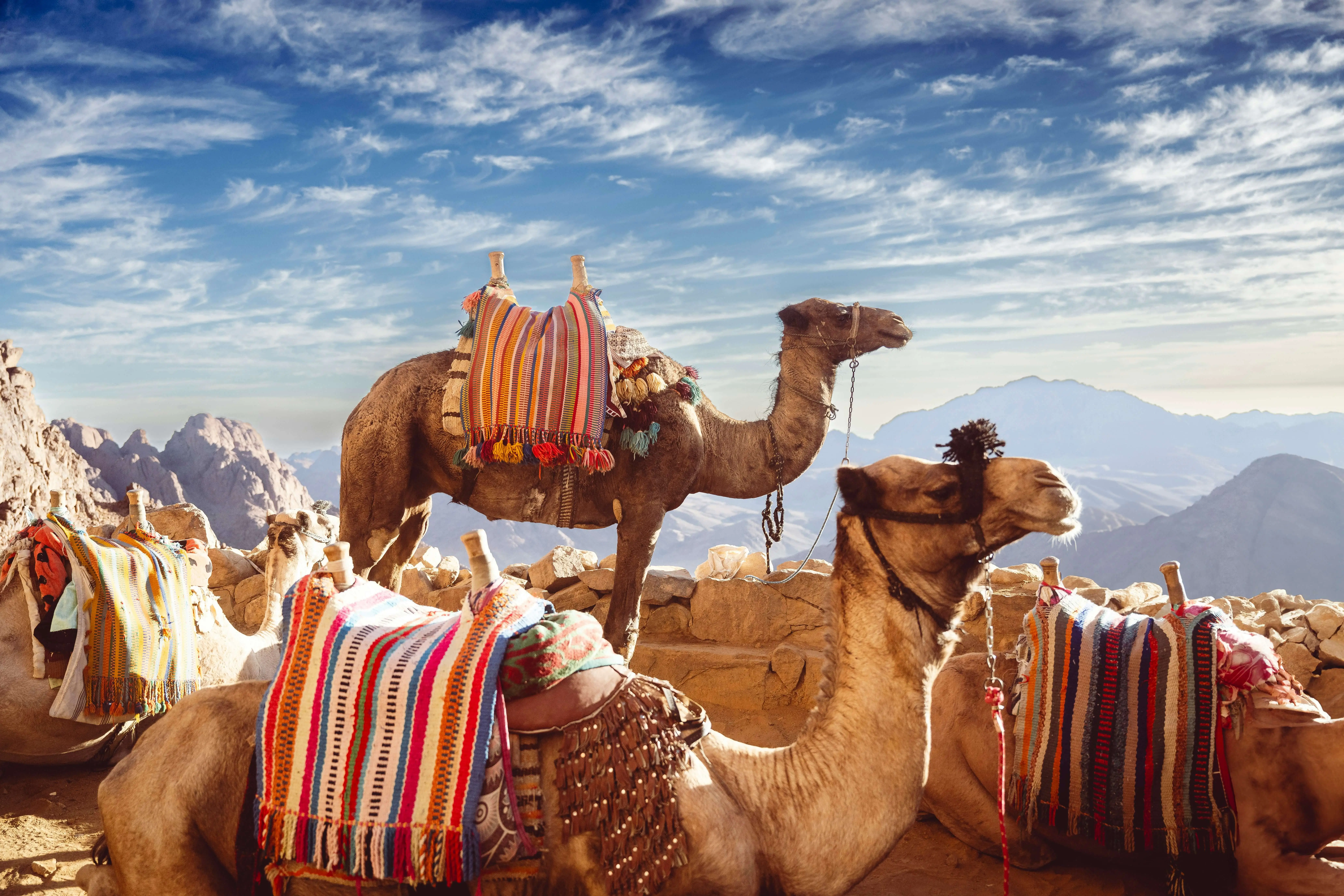 Moroccan traditional market scene with travelers exploring spice stalls and local vendors in vibrant medina atmosphere