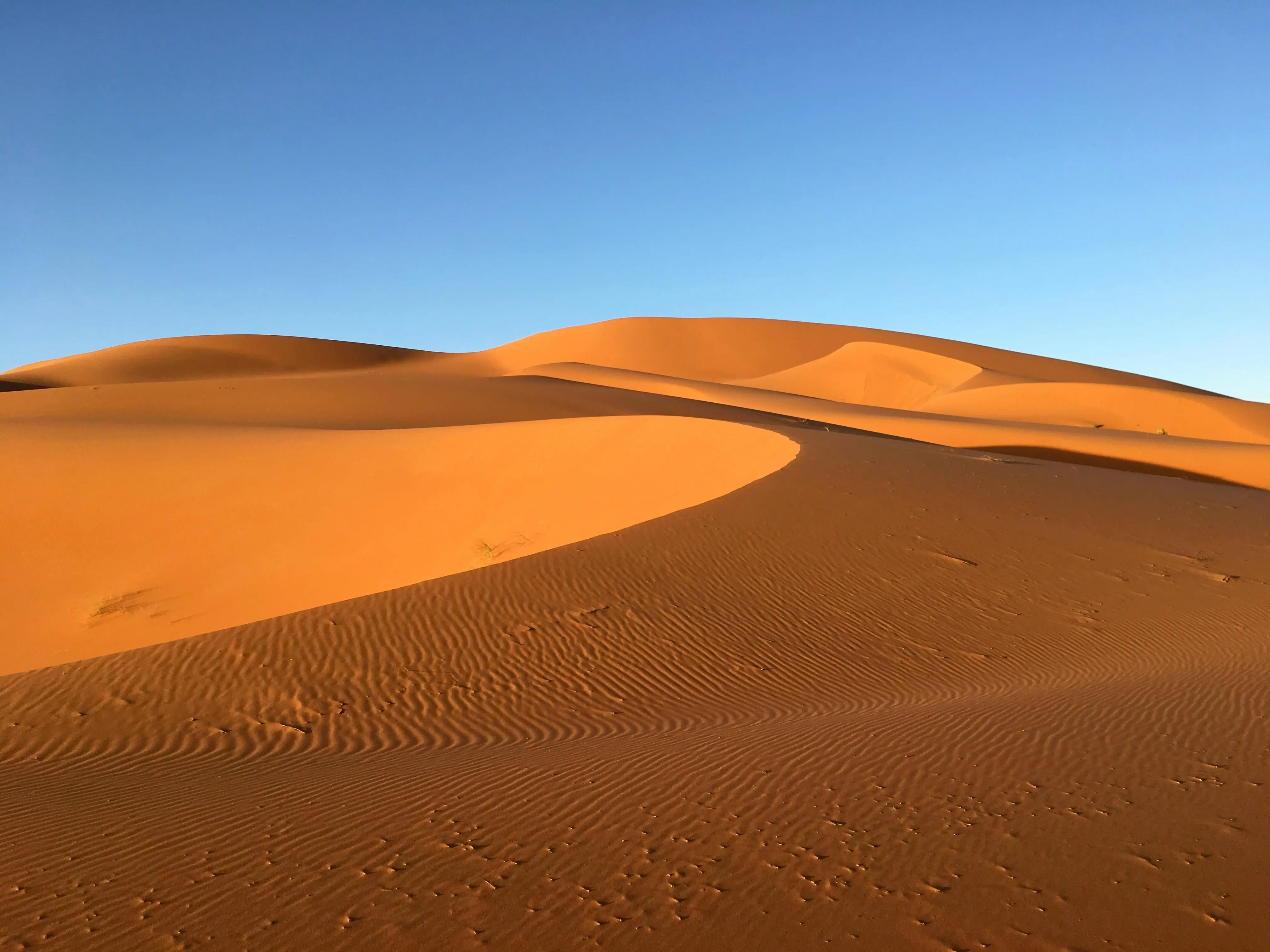 Panoramic view of golden Erg Chebbi dunes at sunset with camel caravan silhouettes and traditional Berber camp in distance