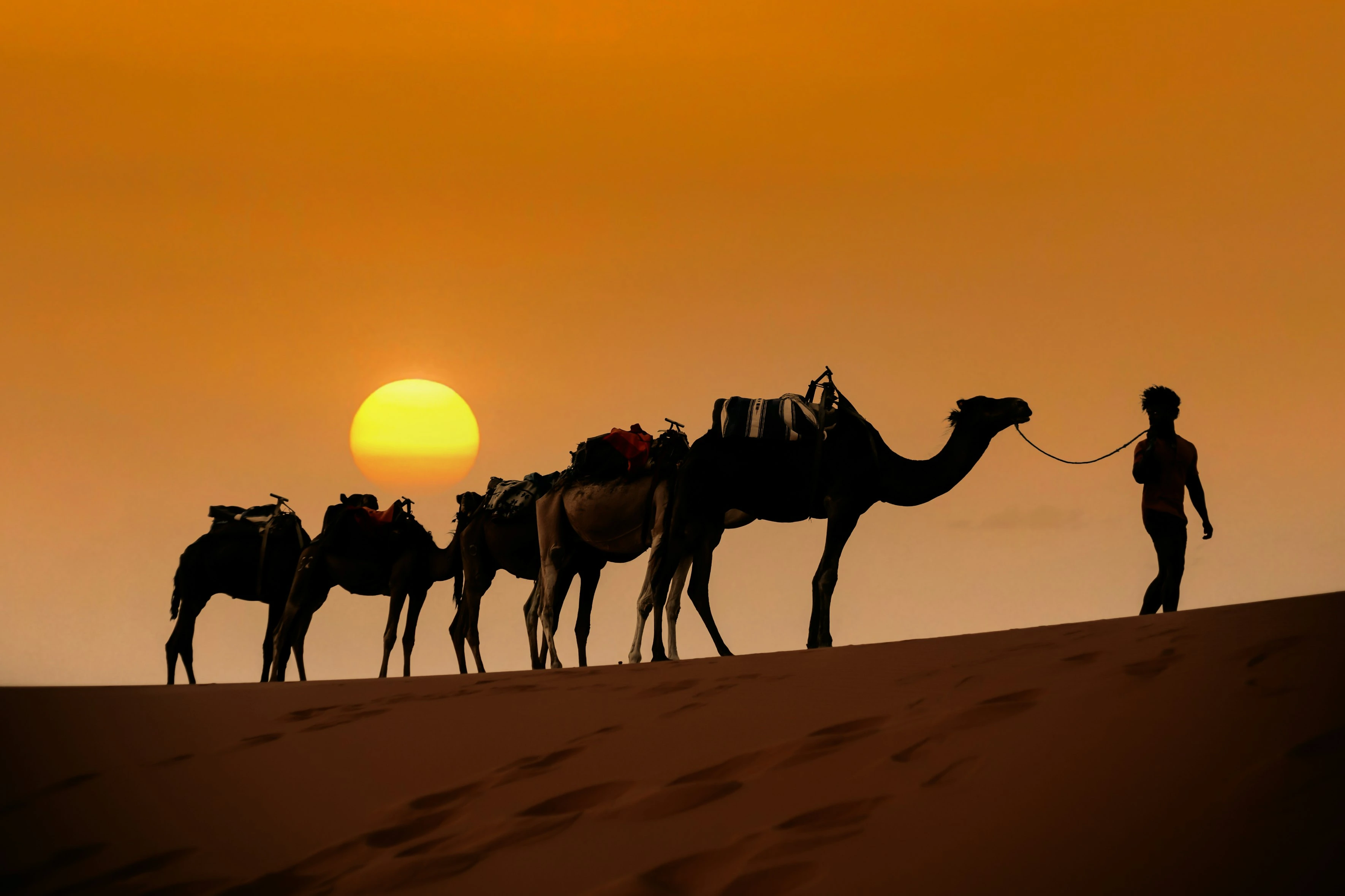 Sahara Desert