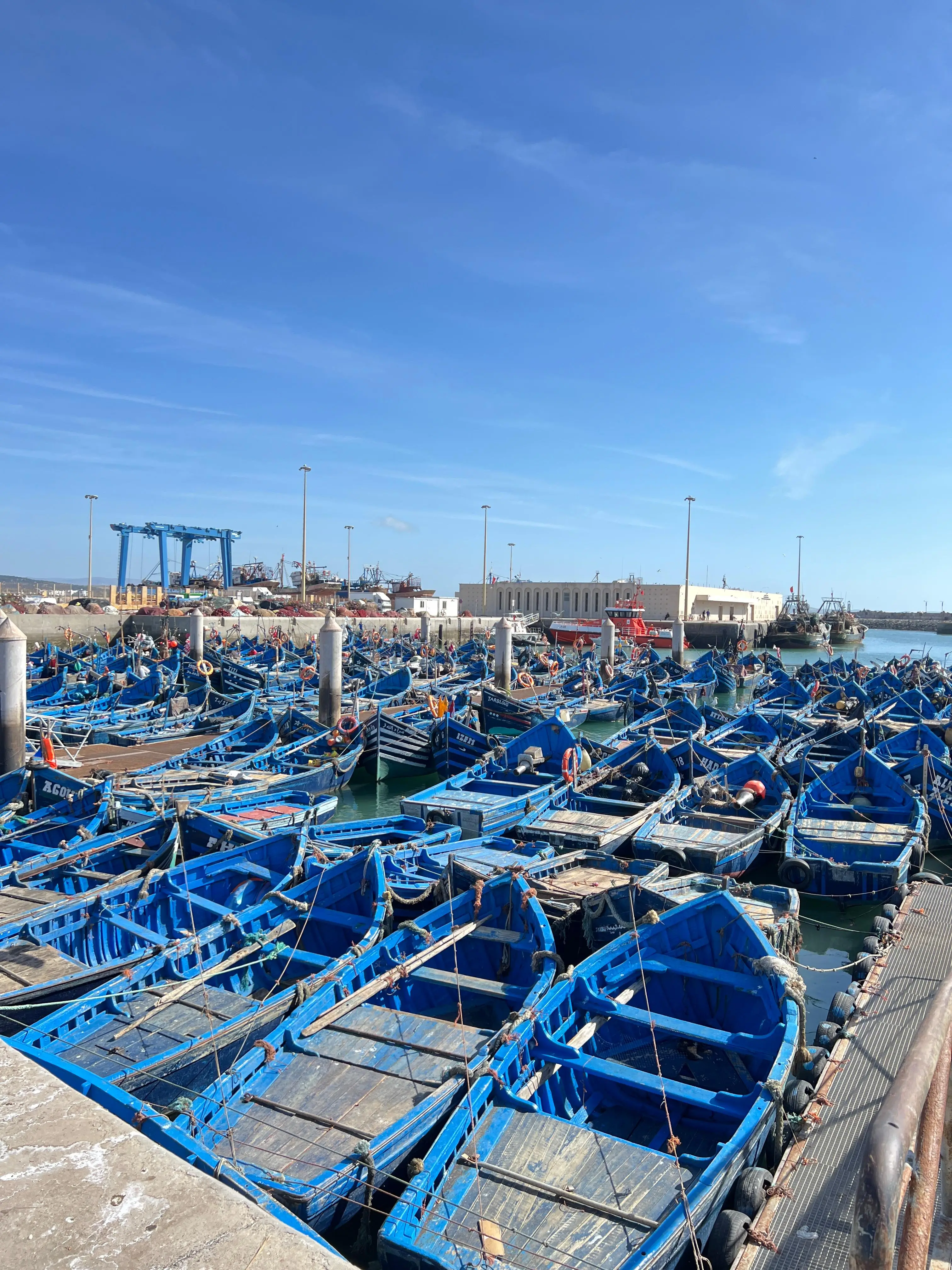Essaouira Day Trip from Marrakech - Discover the charming coastal town of Essaouira on a full-day tour from Marrakech. Stroll through th...