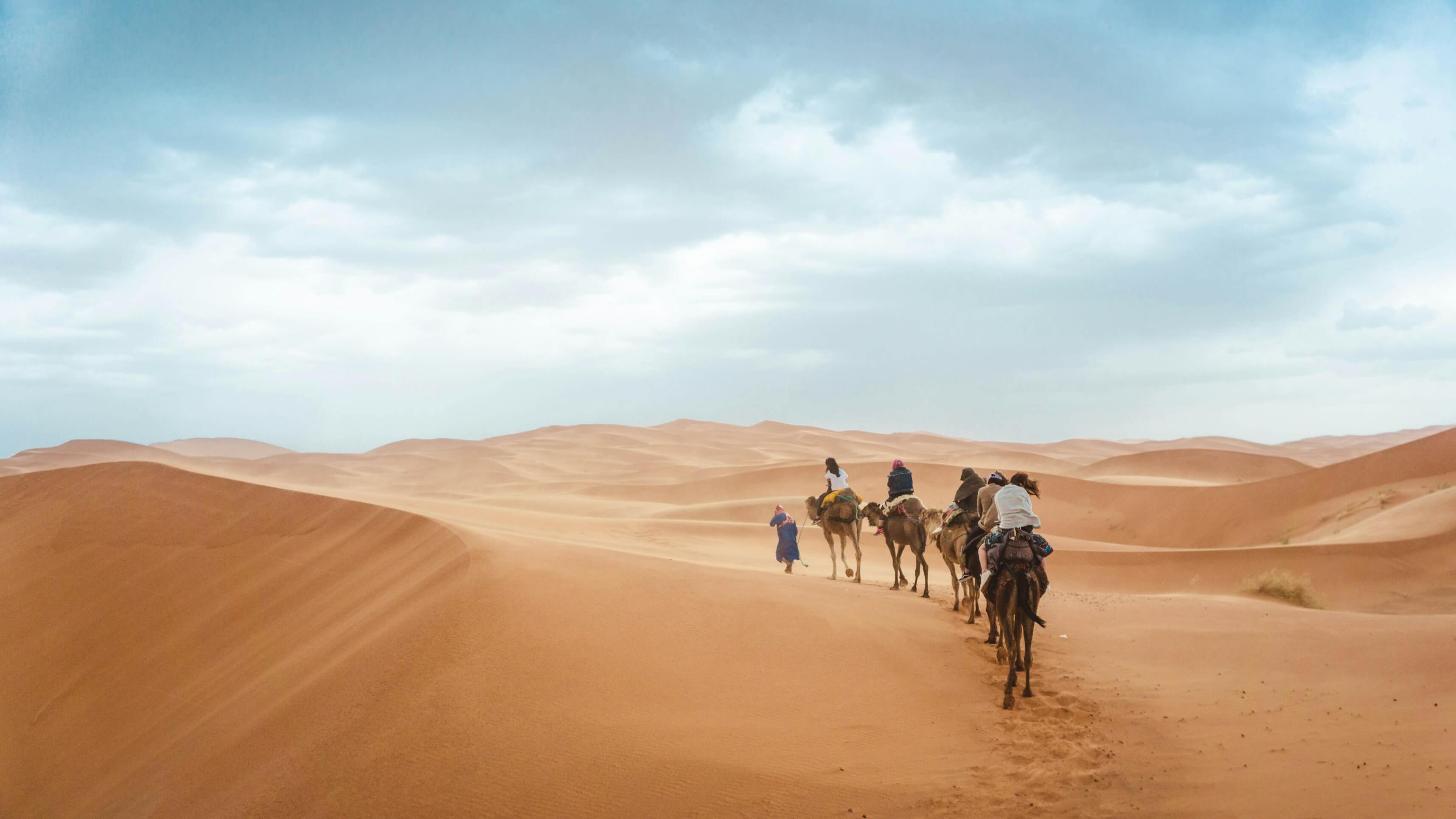 Journey through the Moroccan desert